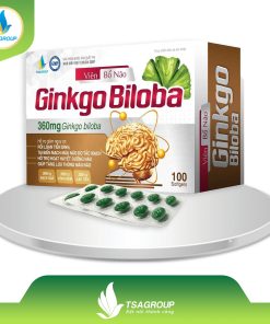 GINKGO BILOBA 360MG CHOLINE