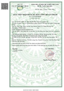 Tỏi Đen Hồng Sâm Ngọc Linh