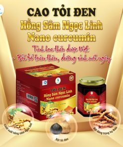 CAO TỎI ĐEN HỒNG SÂM NGỌC LINH NANO CURCUMIN