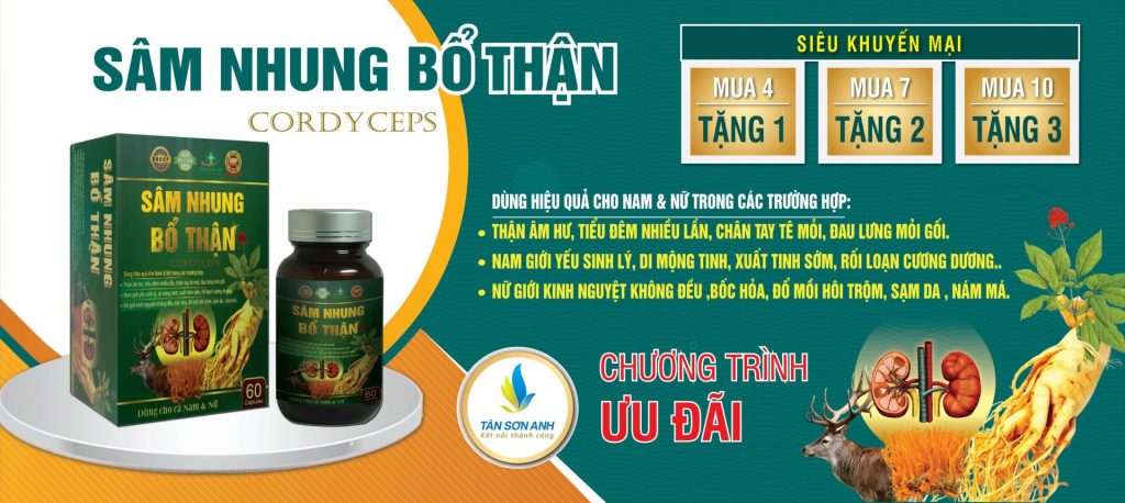 Sâm nhung bổ thận
