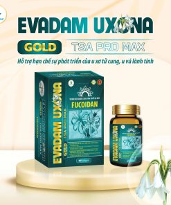EVADAM UXONA GOLD TSA PRO MAX  HỘP 30 VIÊN