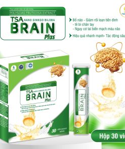 SỦI BỔ NÃO TSA NANOGINKGO BILOBA BRAIN PLUS 30 VIÊN
