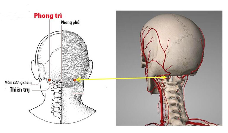 Huyệt Phong Trì